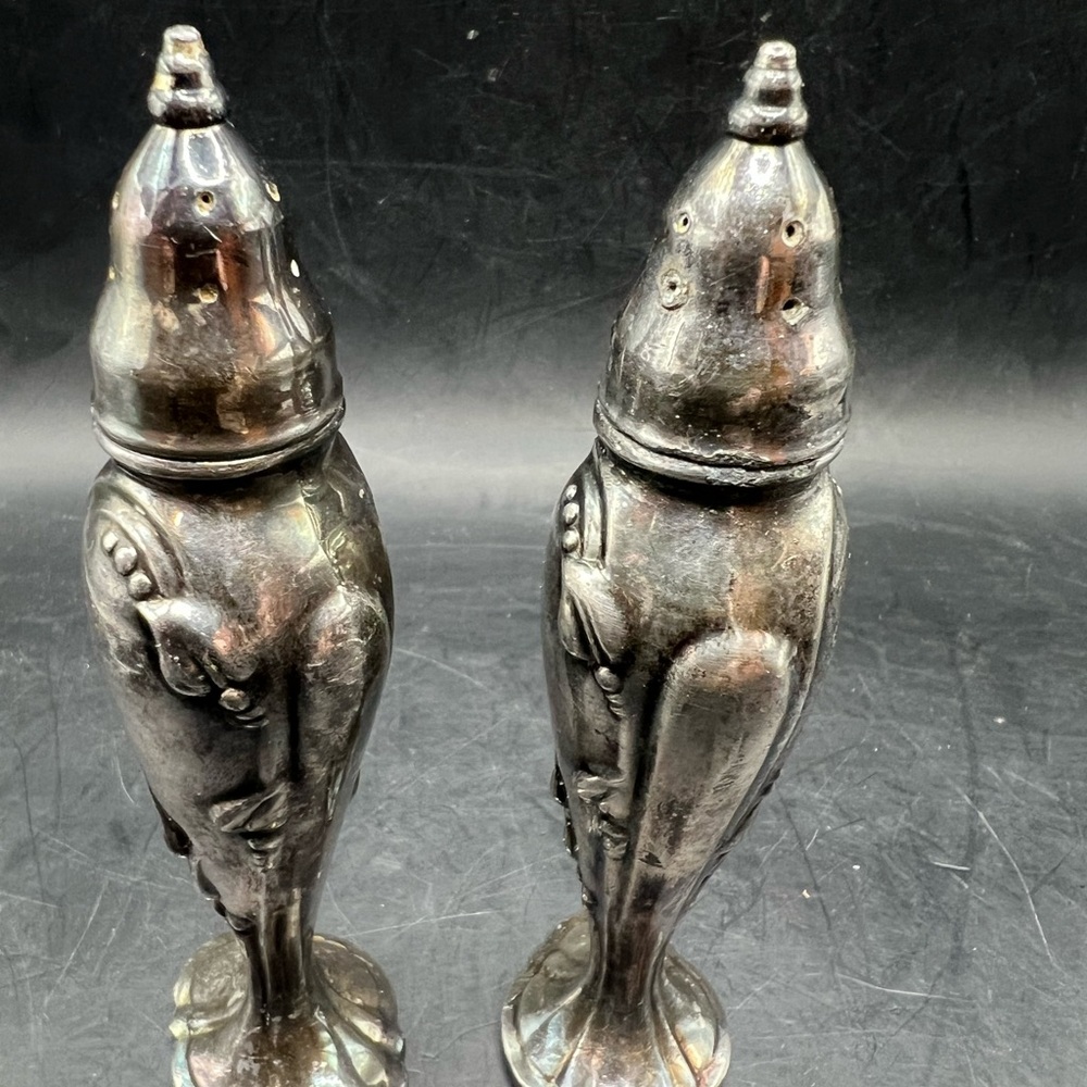 Elegant Silver Salt and Pepper Shakers
